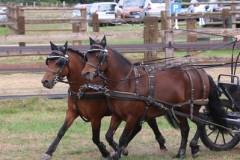 2020-09-05-JourneeDartmoorDash-1491