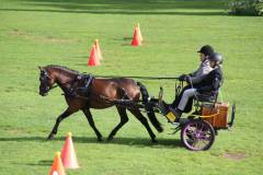 (c) élevage d'Ash - Annie Petit