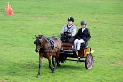 (c) élevage d'Ash - Annie Petit