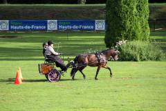 (c) élevage d'Ash - Annie Petit