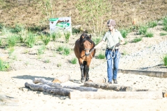 (c) john-photography