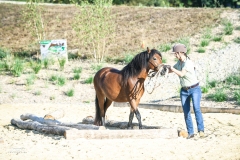 (c) john-photography