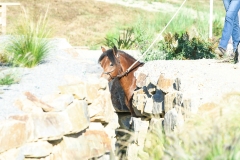 (c) john-photography