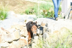 (c) john-photography