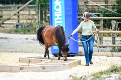 (c) john-photography