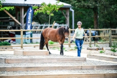 (c) john-photography