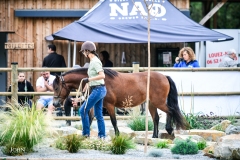 (c) john-photography