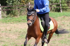 2020-09-05-JourneeDartmoorDash-878